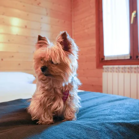 Alda De Rei Domek letniskowy Palas de Rei