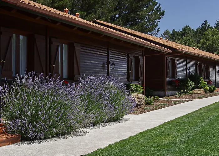 Alda De Rei * Палас-де-Рей